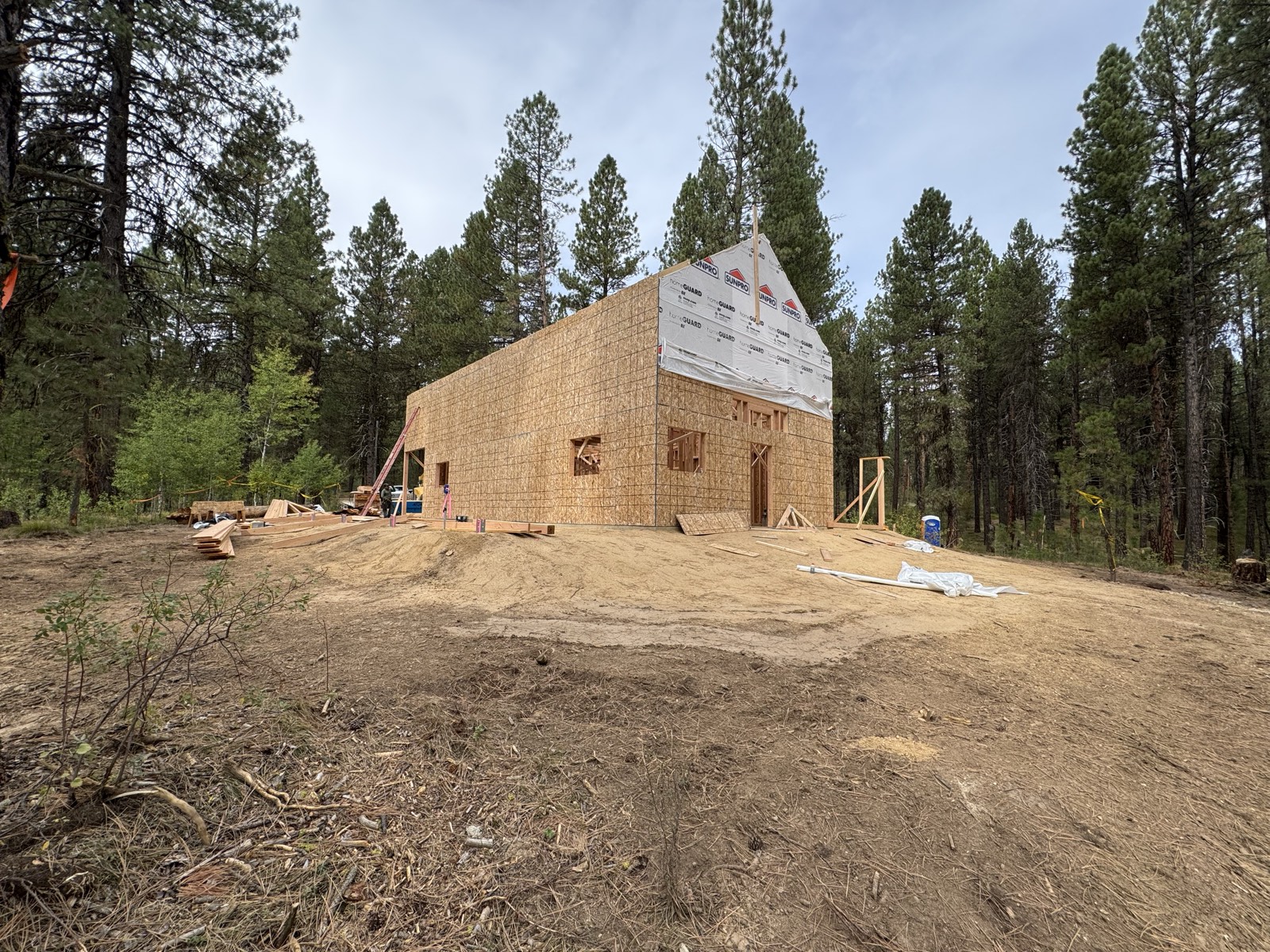 Mountain Cabin project by Thunder Mountain Homes