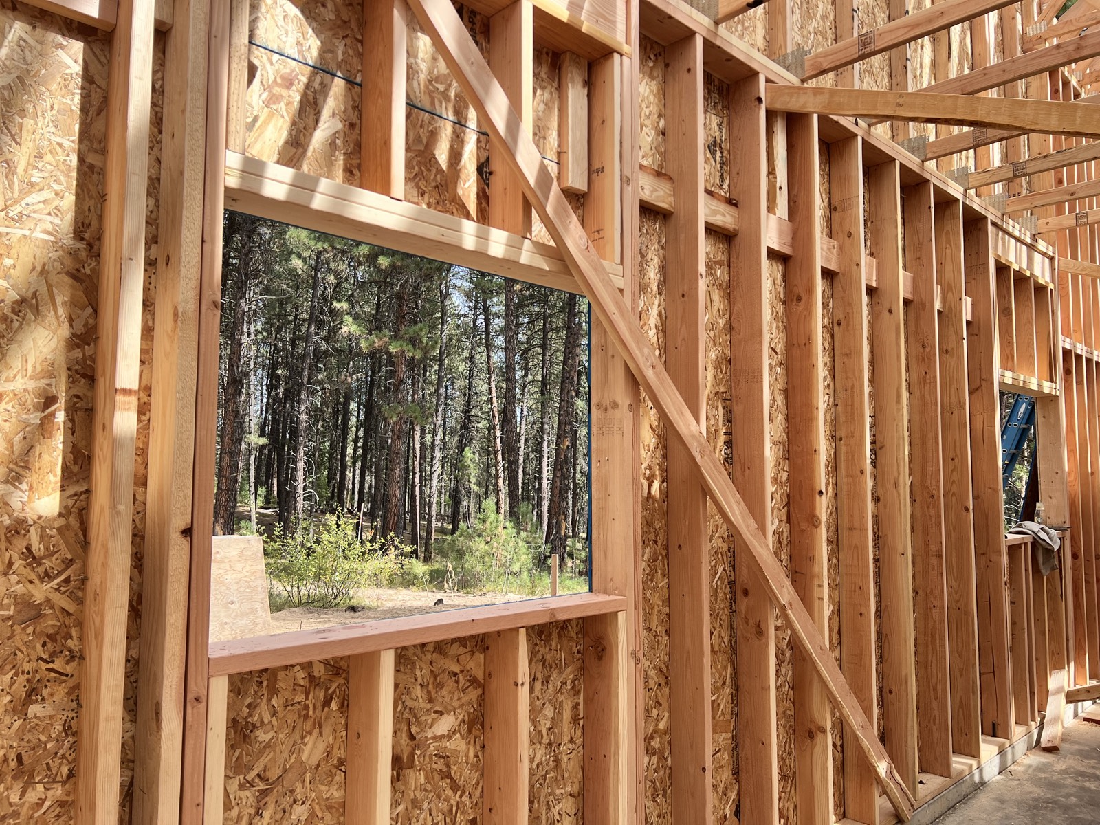 Mountain Cabin, photo 13